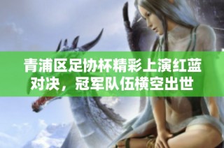青浦区足协杯精彩上演红蓝对决，冠军队伍横空出世