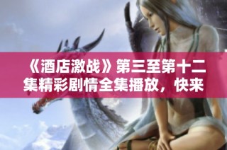 《酒店激战》第三至第十二集精彩剧情全集播放，快来一起体验刺激之旅！