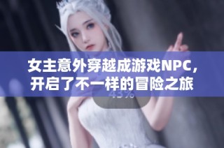 女主意外穿越成游戏NPC，开启了不一样的冒险之旅