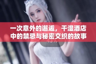 一次意外的邂逅，干湿酒店中的禁忌与秘密交织的故事