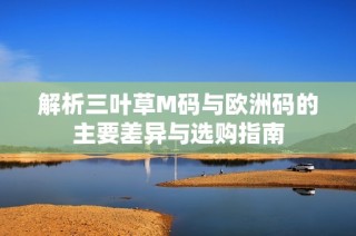 解析三叶草M码与欧洲码的主要差异与选购指南