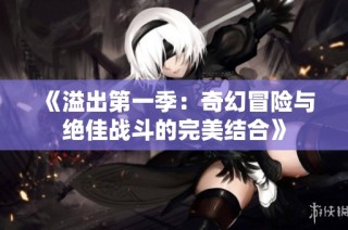 《溢出第一季：奇幻冒险与绝佳战斗的完美结合》