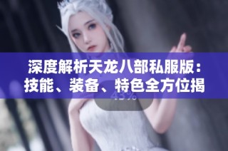 深度解析天龙八部私服版：技能、装备、特色全方位揭秘