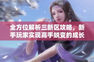 全方位解析三新区攻略，新手玩家实现高手蜕变的成长之路