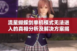 流星蝴蝶剑单机模式无法进入的真相分析及解决方案揭秘