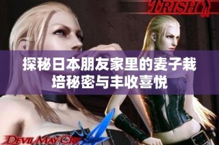 探秘日本朋友家里的麦子栽培秘密与丰收喜悦
