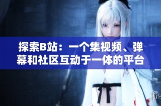 探索B站：一个集视频、弹幕和社区互动于一体的平台解析