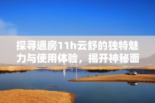 探寻通房11h云舒的独特魅力与使用体验，揭开神秘面纱