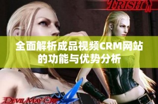 全面解析成品视频CRM网站的功能与优势分析