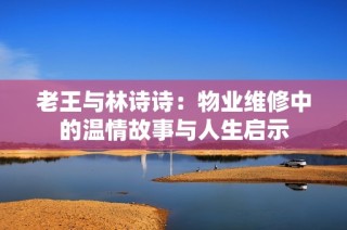 老王与林诗诗：物业维修中的温情故事与人生启示
