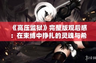 《高压监狱》完整版观后感：在束缚中挣扎的灵魂与希望