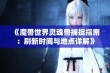 《魔兽世界灵魂兽捕捉指南：刷新时间与地点详解》