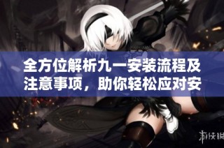 全方位解析九一安装流程及注意事项，助你轻松应对安装挑战