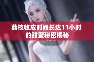 荔枝收成时间长达11小时 的甜蜜秘密揭秘