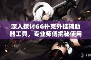 深入探讨GG扑克外挂辅助器工具，专业师傅揭秘使用技巧与注意事项