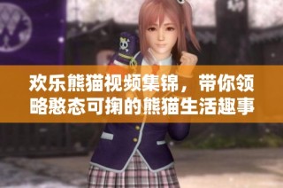 欢乐熊猫视频集锦，带你领略憨态可掬的熊猫生活趣事