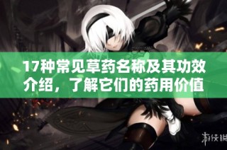 17种常见草药名称及其功效介绍，了解它们的药用价值和用途