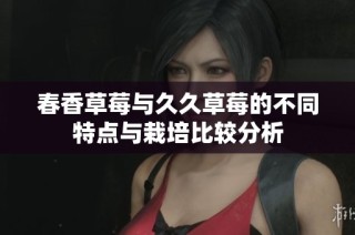 春香草莓与久久草莓的不同特点与栽培比较分析