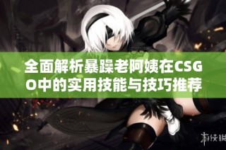 全面解析暴躁老阿姨在CSGO中的实用技能与技巧推荐