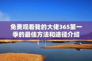 免费观看我的大佬365第一季的最佳方法和途径介绍