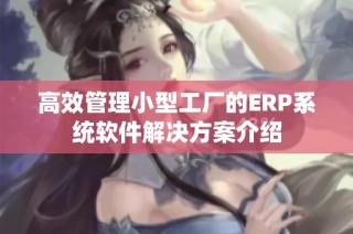 高效管理小型工厂的ERP系统软件解决方案介绍