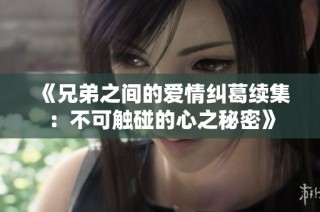 《兄弟之间的爱情纠葛续集：不可触碰的心之秘密》