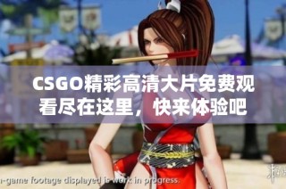 CSGO精彩高清大片免费观看尽在这里，快来体验吧