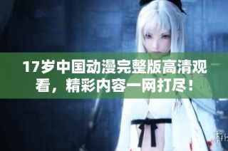 17岁中国动漫完整版高清观看，精彩内容一网打尽！