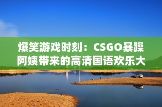 爆笑游戏时刻：CSGO暴躁阿姨带来的高清国语欢乐大片