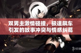 双男主激情碰撞，极速飙车引发的故事冲突与情感纠葛