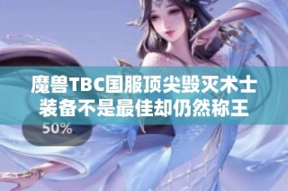 魔兽TBC国服顶尖毁灭术士装备不是最佳却仍然称王