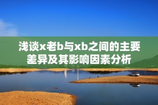浅谈x老b与xb之间的主要差异及其影响因素分析