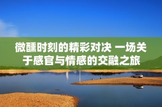微醺时刻的精彩对决 一场关于感官与情感的交融之旅