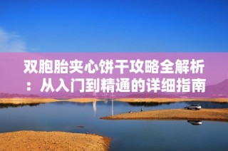 双胞胎夹心饼干攻略全解析：从入门到精通的详细指南
