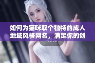 如何为猫咪取个独特的成人地域风格网名，满足你的创意需求