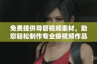 免费提供导管视频素材，助您轻松制作专业级视频作品