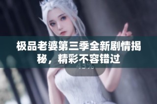 极品老婆第三季全新剧情揭秘，精彩不容错过