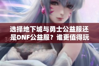 选择地下城与勇士公益服还是DNF公益服？谁更值得玩家体验的深度分析