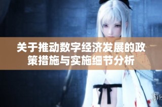 关于推动数字经济发展的政策措施与实施细节分析