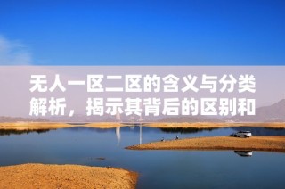 无人一区二区的含义与分类解析，揭示其背后的区别和特点