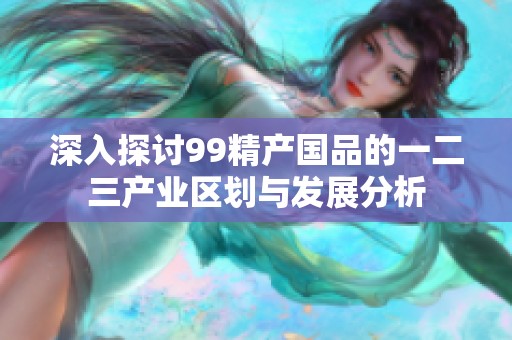 深入探讨99精产国品的一二三产业区划与发展分析