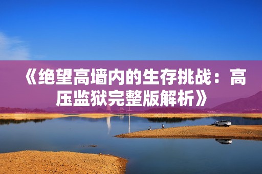 《绝望高墙内的生存挑战：高压监狱完整版解析》