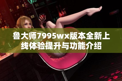 鲁大师7995wx版本全新上线体验提升与功能介绍