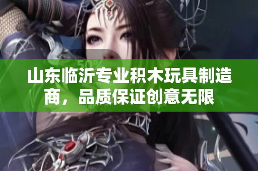 山东临沂专业积木玩具制造商，品质保证创意无限