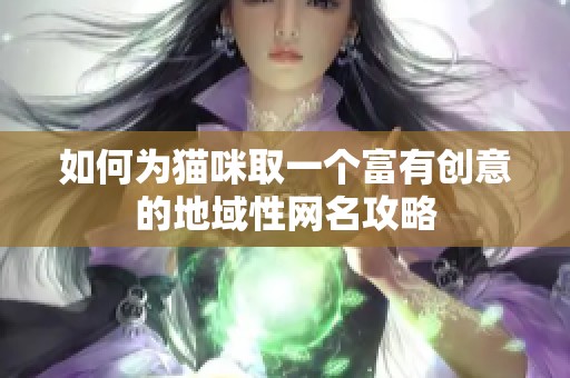 如何为猫咪取一个富有创意的地域性网名攻略