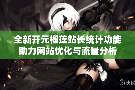 全新开元榴莲站长统计功能助力网站优化与流量分析