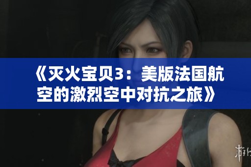 《灭火宝贝3：美版法国航空的激烈空中对抗之旅》