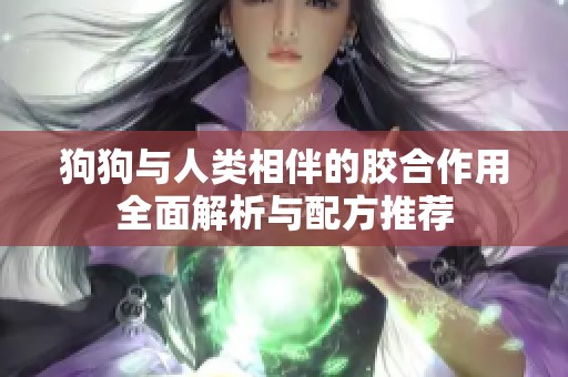 狗狗与人类相伴的胶合作用全面解析与配方推荐