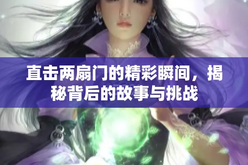 直击两扇门的精彩瞬间，揭秘背后的故事与挑战