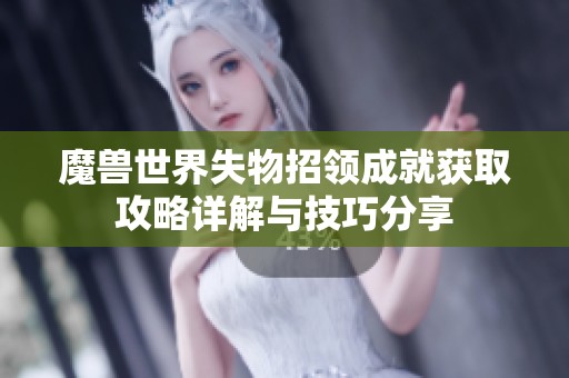 魔兽世界失物招领成就获取攻略详解与技巧分享